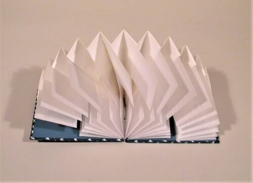 Biz card flag book