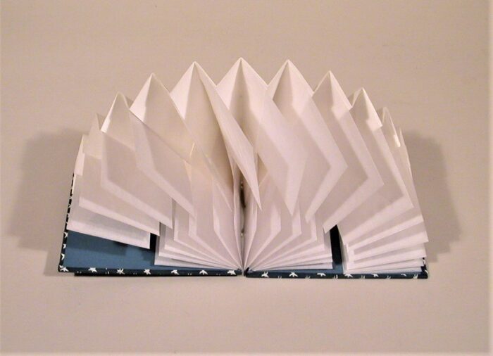 Biz card flag book