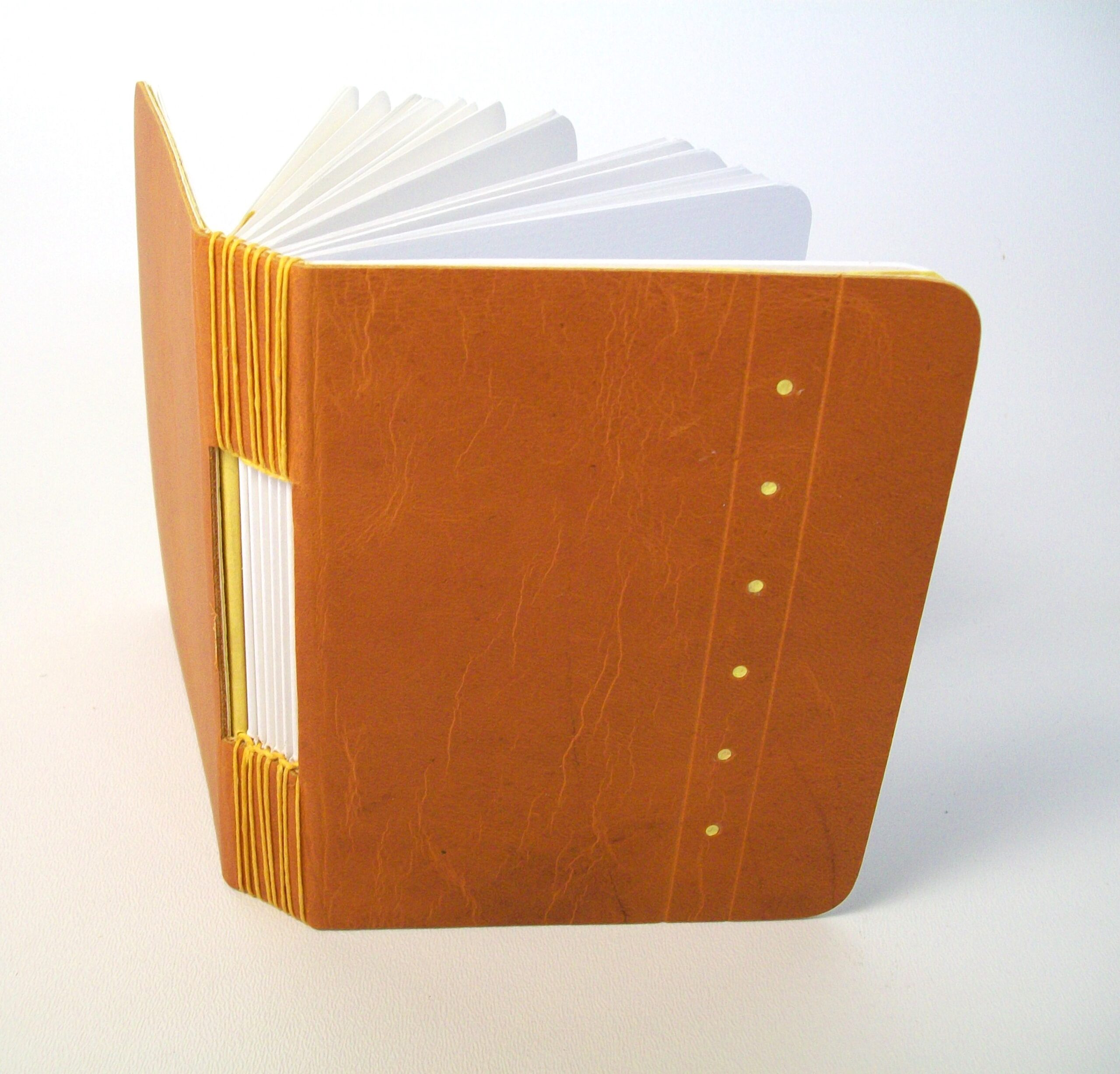 Buttonhole stitch B (3)