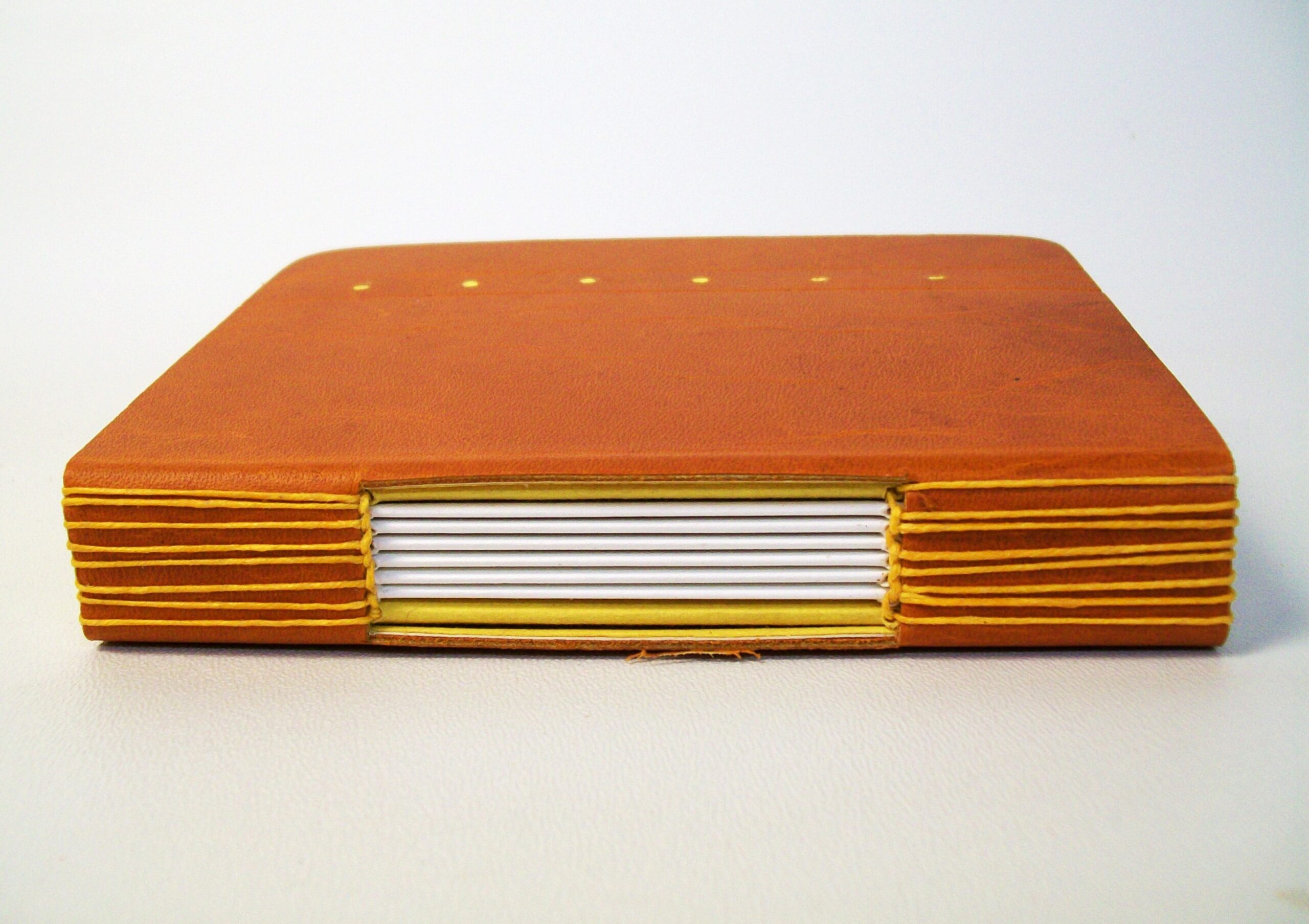 Buttonhole stitch C (2)